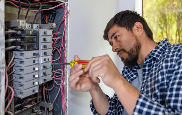 Best Ceiling Fan Installation Electrician  in Jesup, GA
